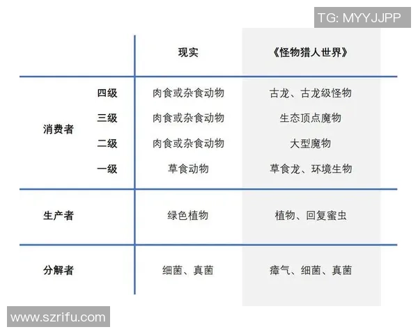 世界足球明星梯队的崛起与发展探讨及其对全球足球的影响分析