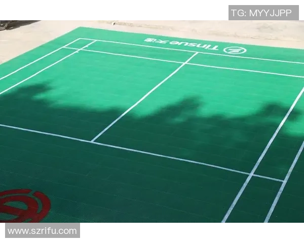 西安羽毛球队状态分析与发展前景探讨