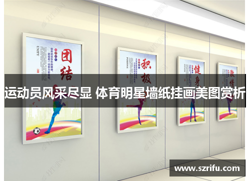 运动员风采尽显 体育明星墙纸挂画美图赏析